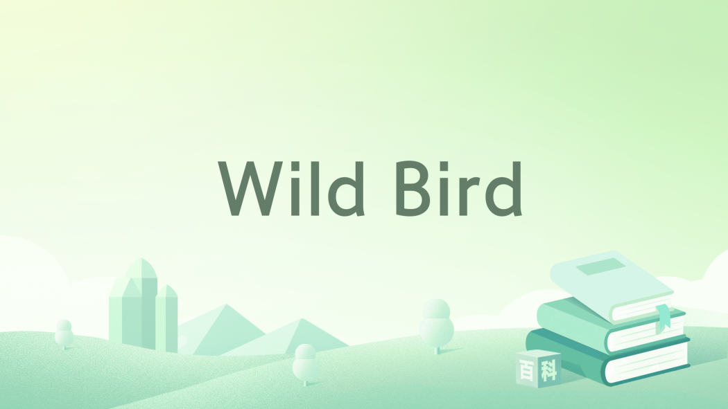 Wild Bird(貓ノ朔創作的網路小說) Wild Bird(貓ノ朔創作的網路小說)
