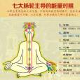 太陽神經叢 太陽神經叢