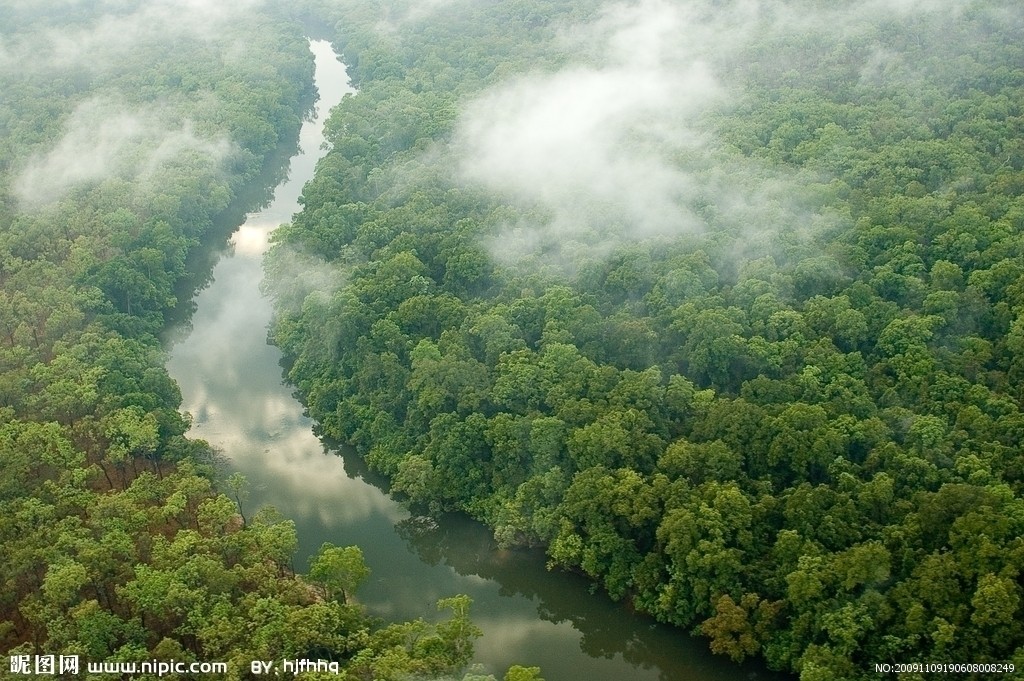 熱帶雨林生態系統