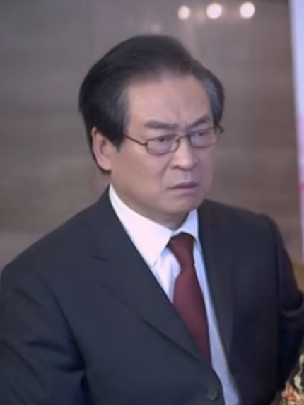 崔文化(情感劇《不是不想嫁》中的角色) 崔文化(情感劇《不是不想嫁》中的角色)