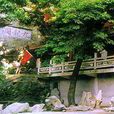 九龍洞風景區(河南林州九龍洞風景區) 九龍洞風景區(河南林州九龍洞風景區)