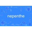 nepenthe nepenthe