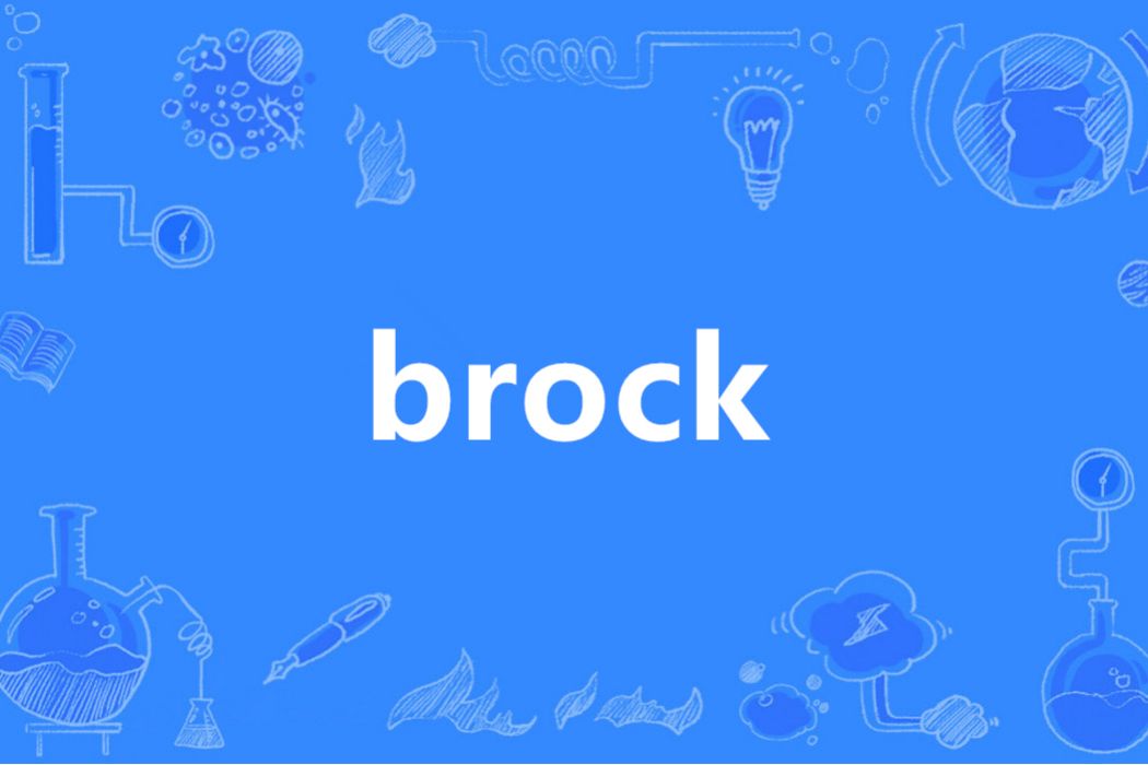 Brock(英語單詞)