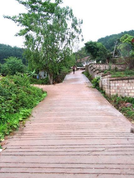 腰果村 腰果村