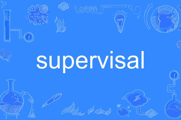 supervisal supervisal