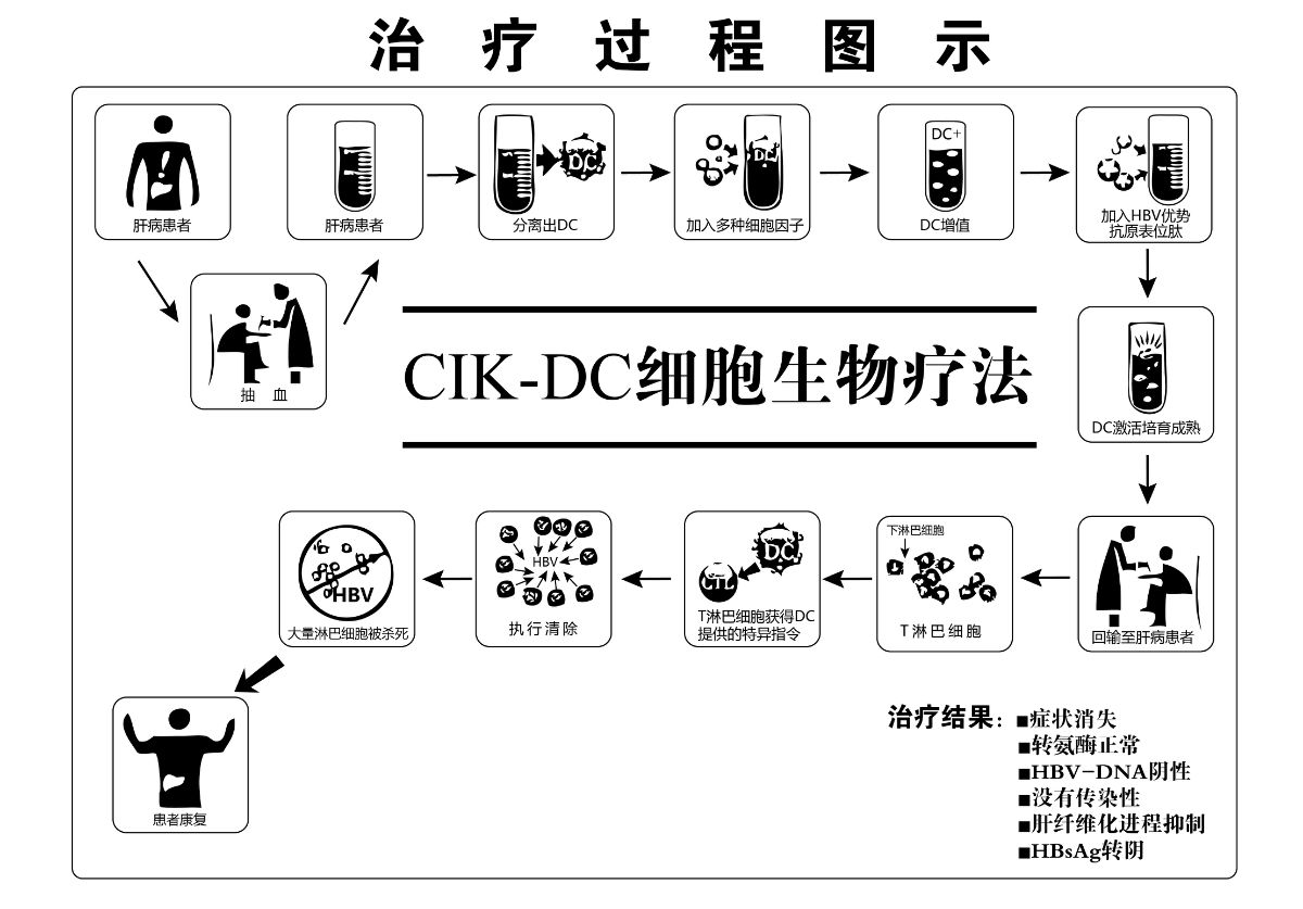 總膽固醇偏高