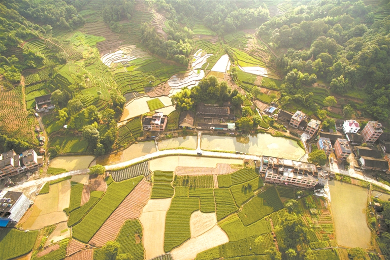 舉州村 舉州村