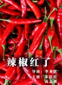 董稚 董稚