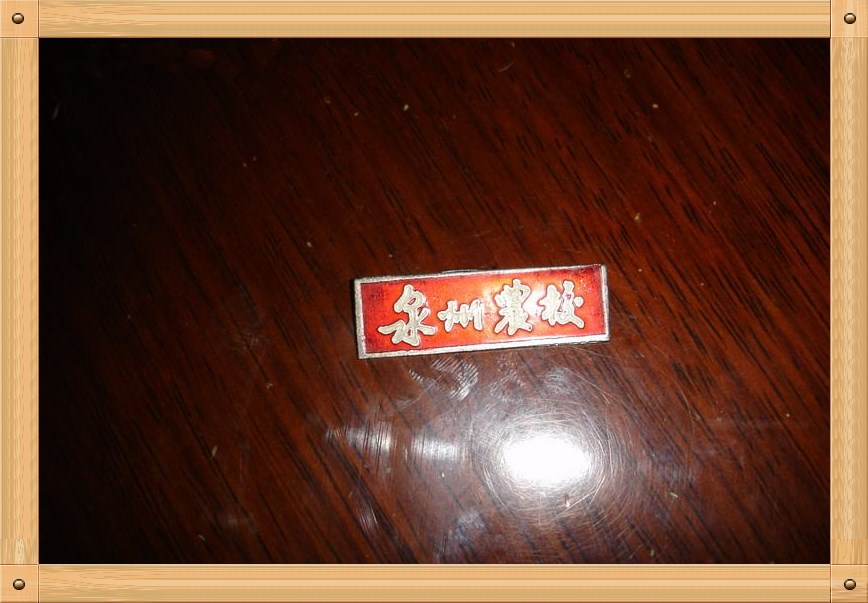 福建省泉州市農業學校校徽胸牌