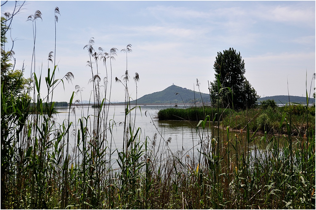 仙山湖國家濕地公園