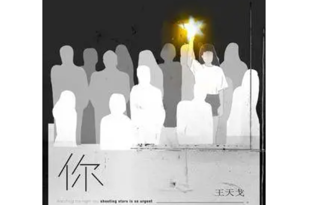 你(王天戈演唱的歌曲) 你(王天戈演唱的歌曲)
