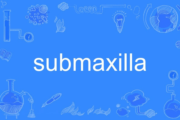 submaxilla submaxilla