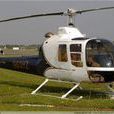 RH-1100直升機 RH-1100直升機