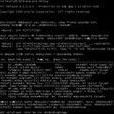 EXP.EXE EXP.EXE