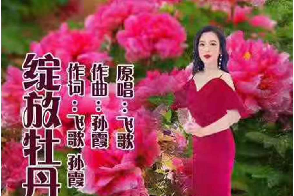 綻放牡丹 綻放牡丹
