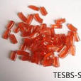 TESBS