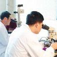 礦物分析 礦物分析