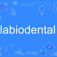 labiodental labiodental