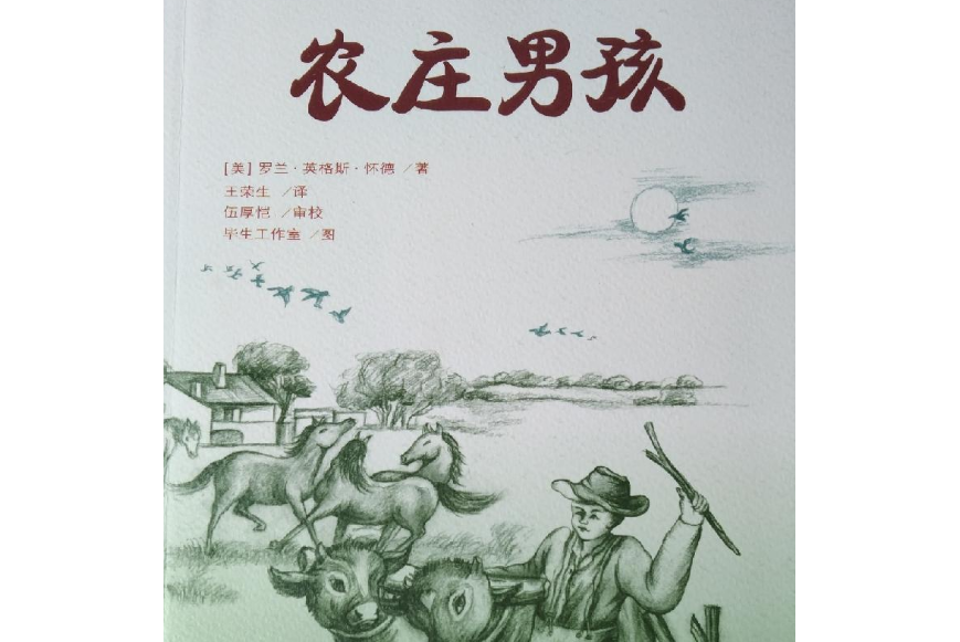農莊男孩(2009年天地出版社出版的圖書) 農莊男孩(2009年天地出版社出版的圖書)