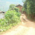 啟文道村 啟文道村