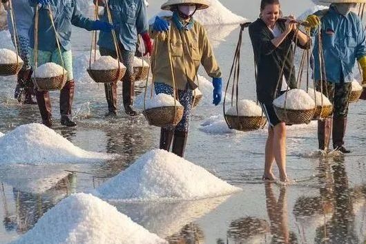 採鹽 採鹽