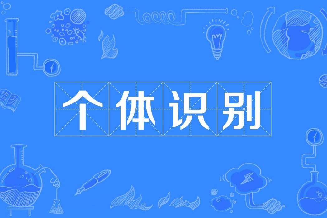 個體識別 個體識別
