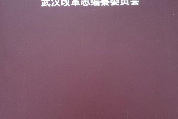 武漢改革志 武漢改革志