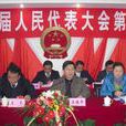 中華人民共和國第七屆全國人民代表大會第一次會議(七屆全國人大一次會議)