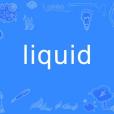 liquid(英語單詞) liquid(英語單詞)