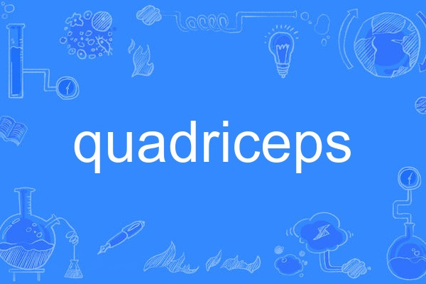 quadriceps quadriceps