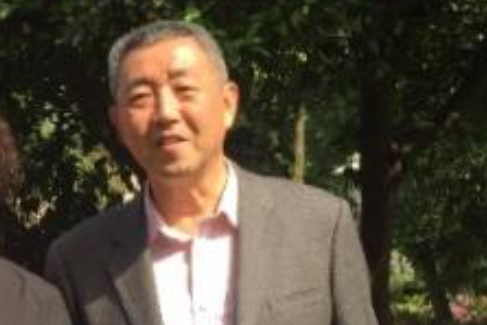 黃健(武漢大學動力與機械學院退休教授)