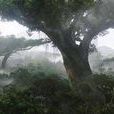 家園樹 家園樹