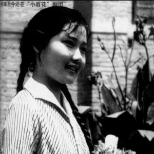 何賽飛