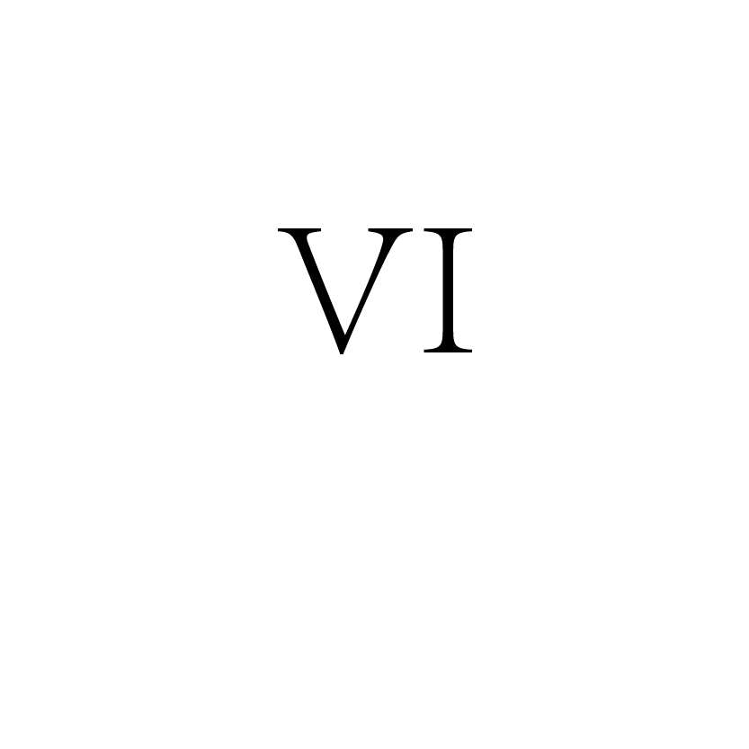 Vi(羅馬數字6)