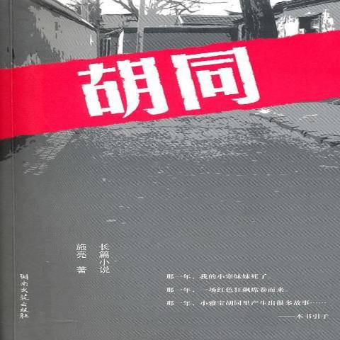 胡同(2010年湖南文藝出版社出版的圖書) 胡同(2010年湖南文藝出版社出版的圖書)