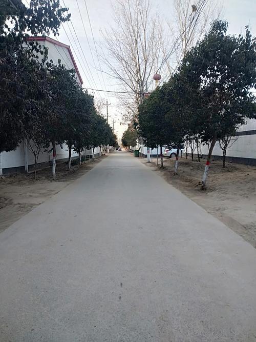 大孟街道 大孟街道
