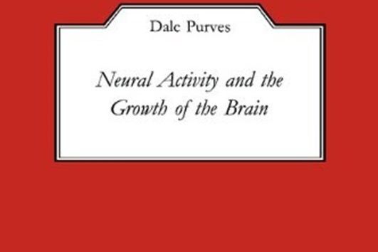 Neural Activity and the Growth of the Brain Neural Activity and the Growth of the Brain