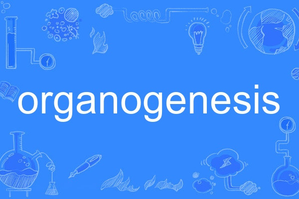 organogenesis organogenesis
