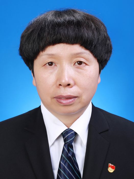 王朝輝(河南省登封市發展和改革委員會黨組副書記、副主任) 王朝輝(河南省登封市發展和改革委員會黨組副書記、副主任)