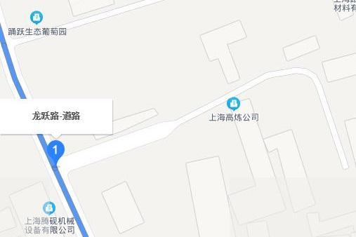 龍躍路(上海市龍躍路) 龍躍路(上海市龍躍路)