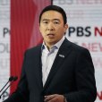 楊安澤 楊安澤