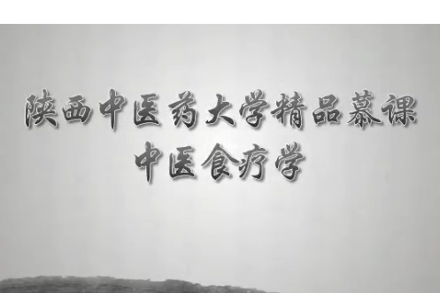 中醫食療學(陝西中醫藥大學建設的慕課) 中醫食療學(陝西中醫藥大學建設的慕課)