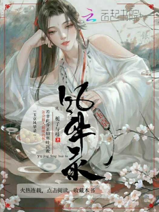 玉京風華錄 玉京風華錄
