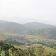 小平坡村 小平坡村