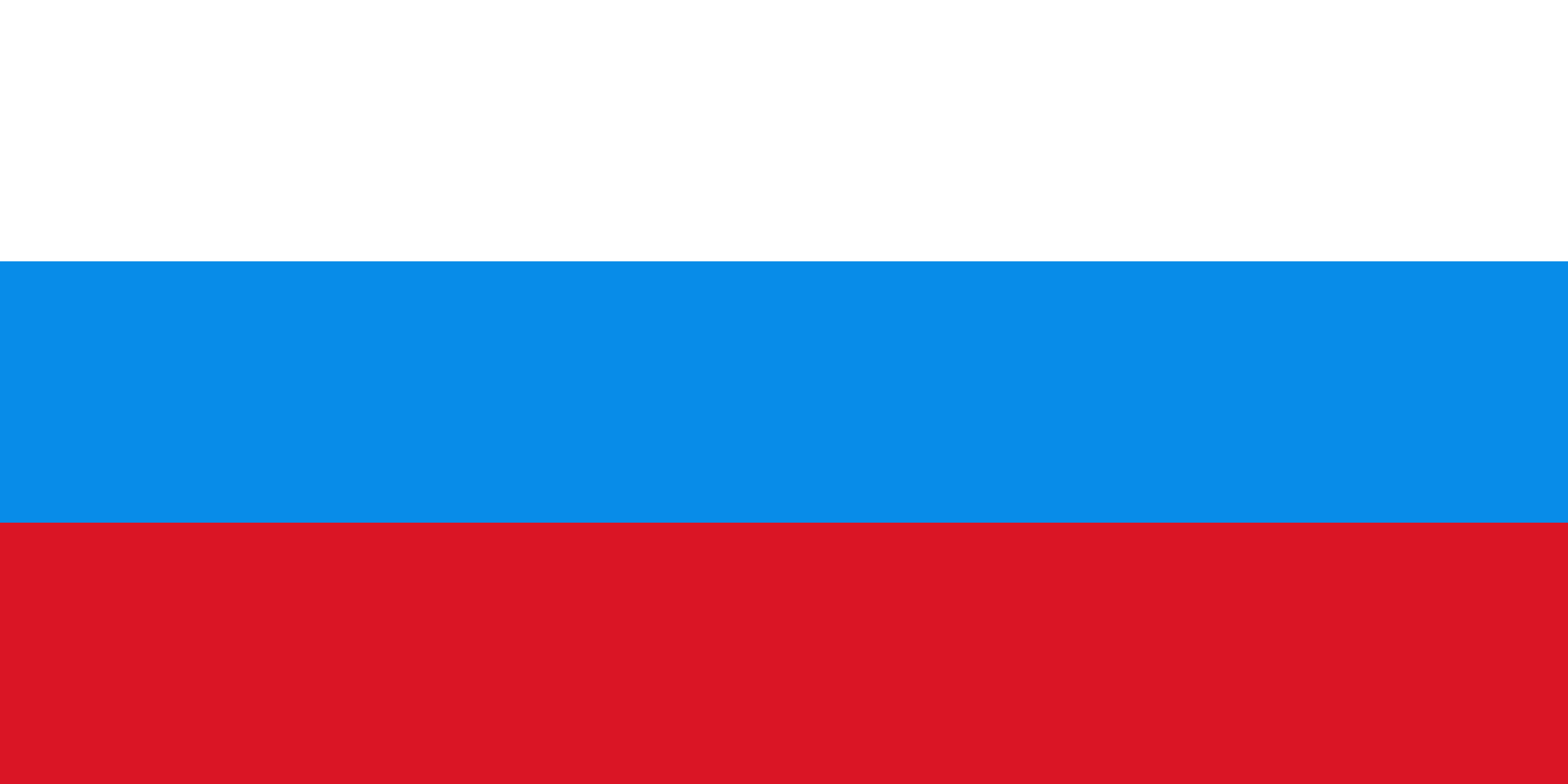 俄羅斯聯邦國旗（1991-1993）