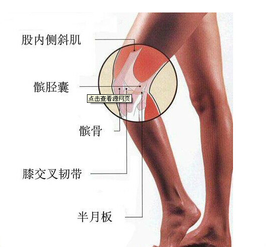 膝蓋保護