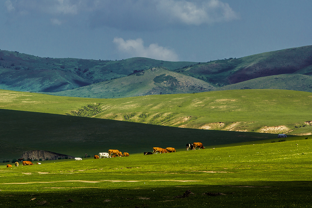 內蒙古阿魯科爾沁國家級自然保護區