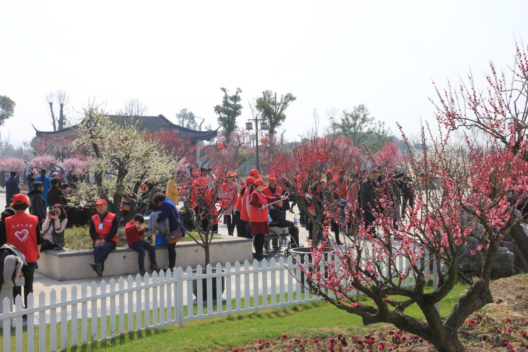 梅花灣 梅花灣