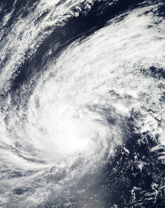 熱帶風暴巴威    衛星雲圖