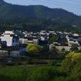 泉塘村(廣西玉林市泉塘村) 泉塘村(廣西玉林市泉塘村)